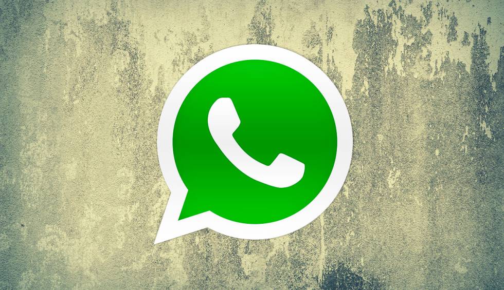 Menjadi profesional web WhatsApp: akses langsung terbaik 1