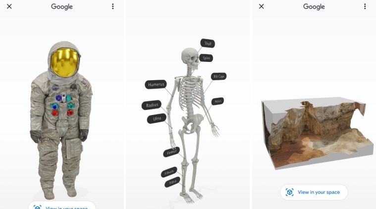 Google 3D Animals: Bawa lebih banyak hewan dan anatomi manusia ke rumah Anda 1
