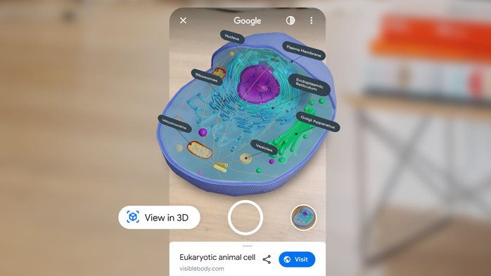Google menampilkan sel 3D dan anatomi manusia dalam pencarian 1