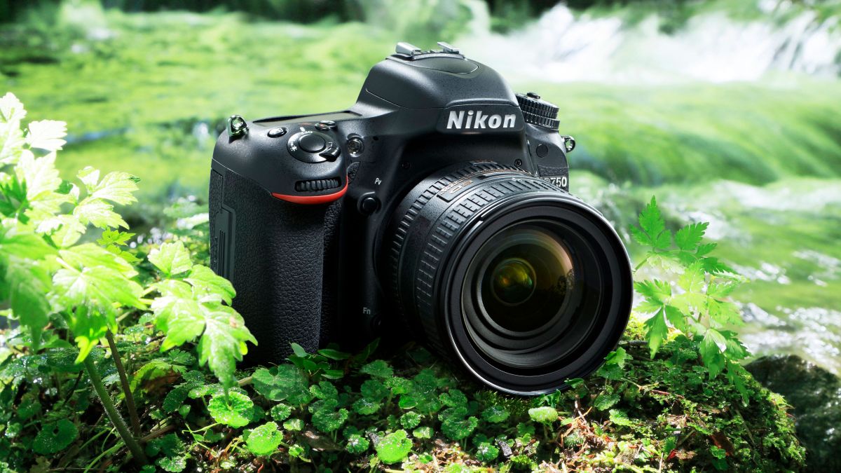 Nikon D750 ulasan