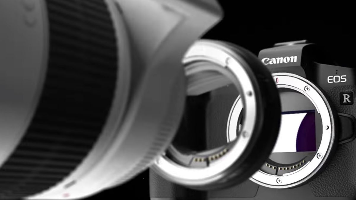 Rumor baru muncul bahwa Canon akan meluncurkan kamera EOS R pro level dari ... 1