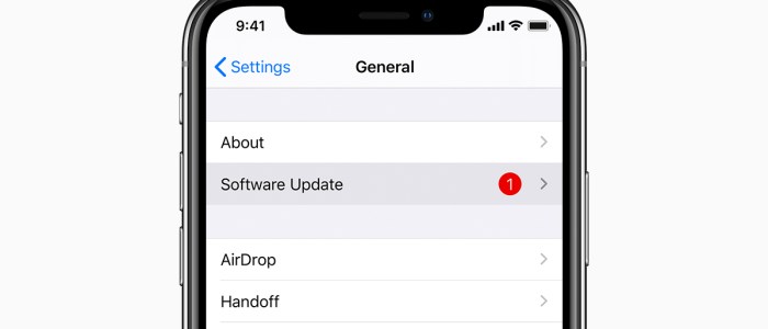 Programuppdatering: Hur gör man det på en iPhone?