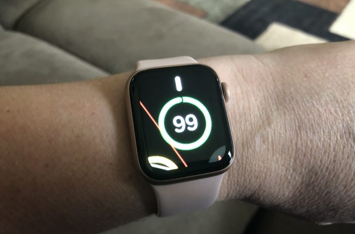 Cara menggunakan Zoom on Apple Watch untuk lebih mudah dilihat 1