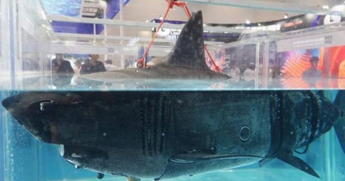 China memperkenalkan drone mata-mata gaya hiu