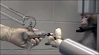 Bci Monkey Menggunakan Robotic Arm