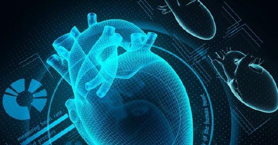 Para ilmuwan menciptakan teknik baru untuk perancah jantung cetak 3D