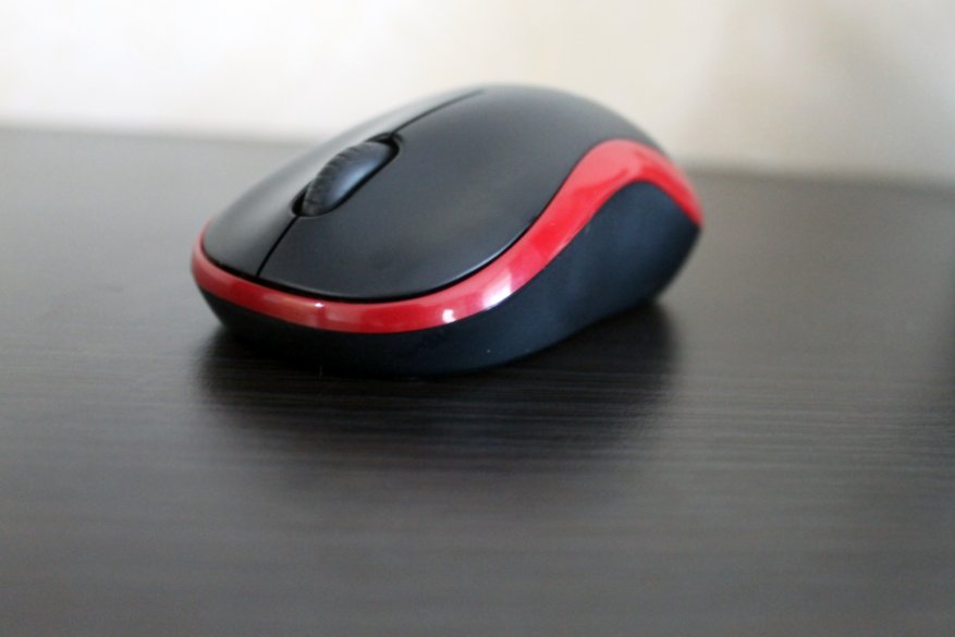 Logitech Wireless Mouse M185: tikus yang sempurna untuk bekerja 4