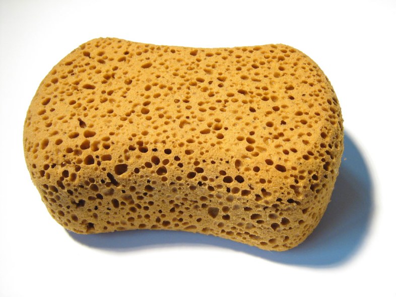 Trypophobia: Apakah Cluster Of Tiny Holes Creep You Out? 7