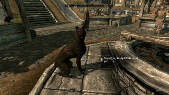 Berättelsen om Skyrim-moddern som fångade sin avlidne hund i spelet Bethesda 1