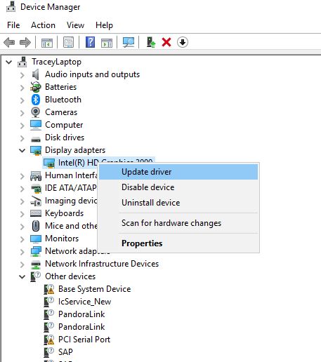 Monitor blinkar Windows Device Manager Update