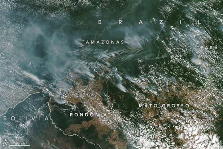 Amazon terbakar! Awan asap sudah terlihat dari luar angkasa 2