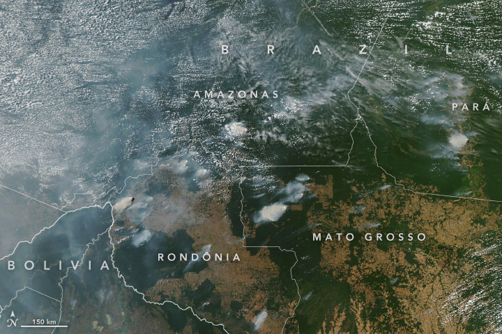 Amazon terbakar! Awan asap sudah terlihat dari luar angkasa 3