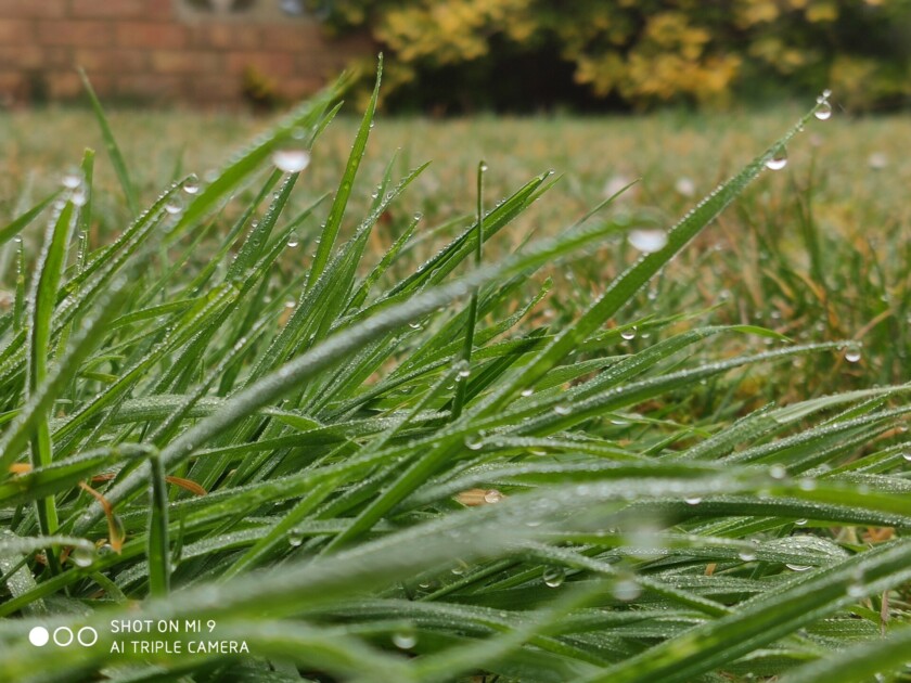Xiaomi Mi 9 gräs kameraklingor