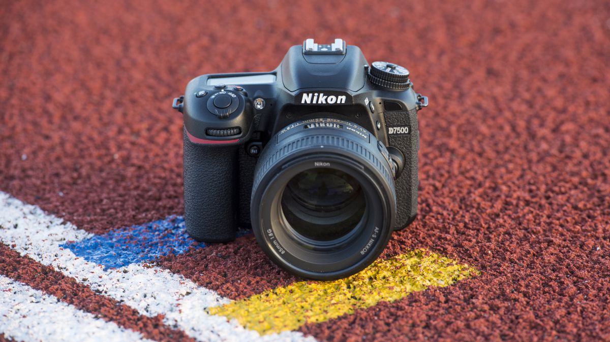 Kamera DSLR terbaik 2019: 10 kamera hebat yang sesuai dengan semua anggaran