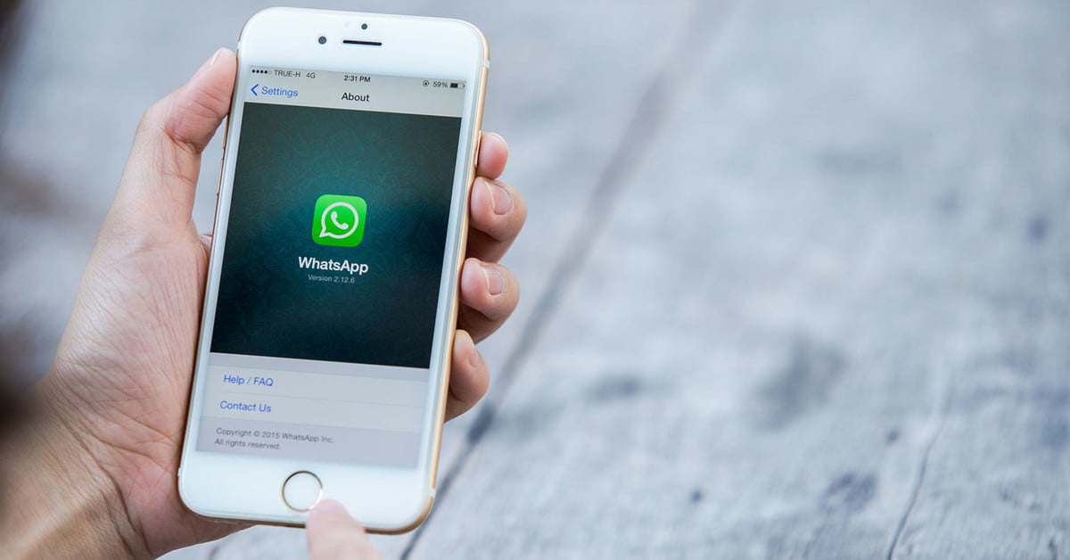 Cara menghapus pesan yang dikirim di WhatsApp jika Anda melakukan kesalahan