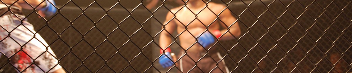 UFC Knock Out Situs Bajak Laut Pertama Mengikuti Aksi Pemblokiran Debut