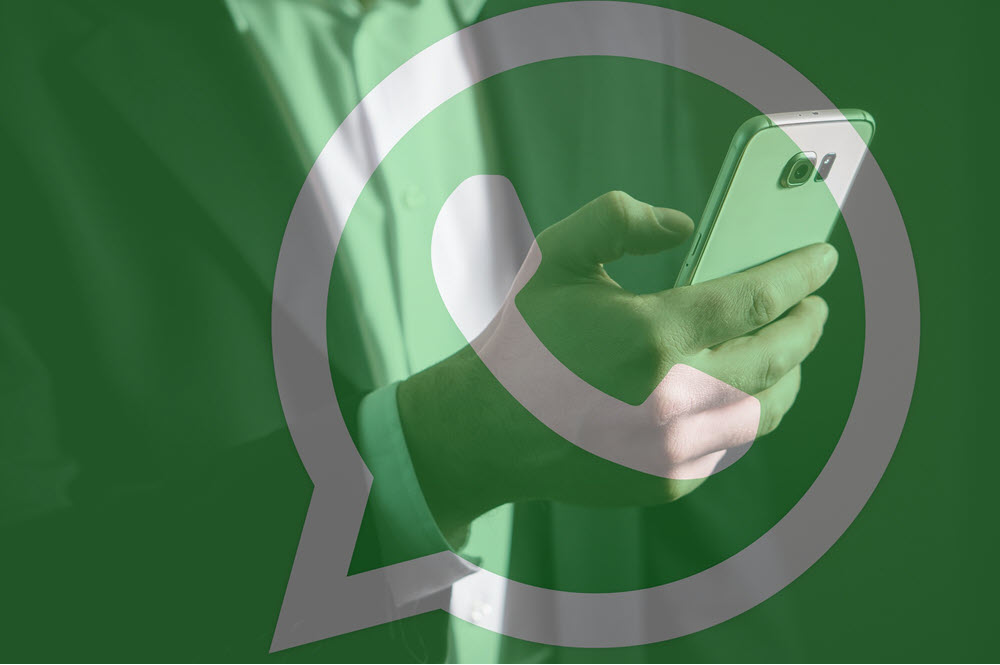 Bagaimana memulihkan WhatsApp jika ponsel Anda dicuri
