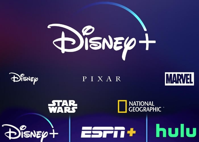 Disney Streaming Service