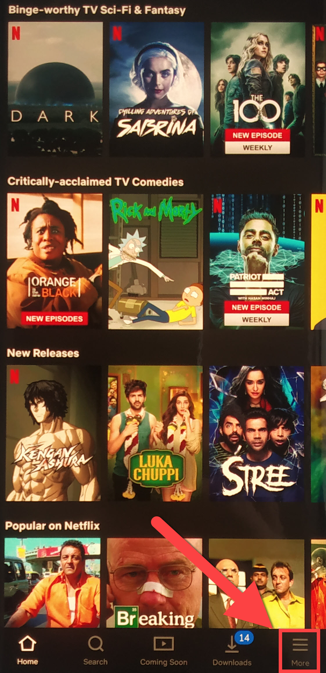 Hur du avbryter ditt Netflix-prenumeration i Indien