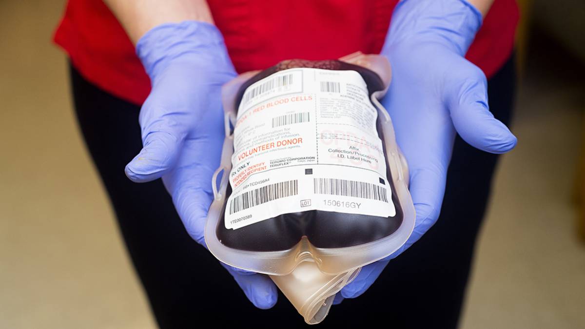 Ta reda på om du kan donera blod och till vem med blodtyp 1-applikationen