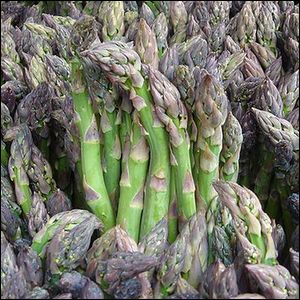 Bundel asparagus