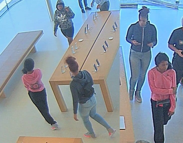Pencuri Target Apple Simpan di Bay Area dan Kelola untuk Mencuri 16 iPhone