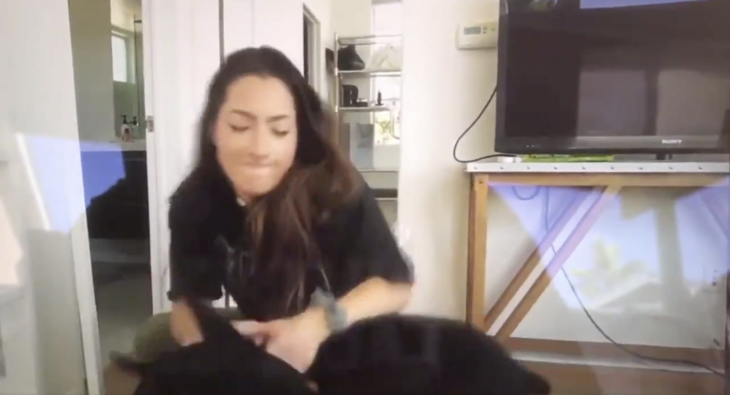YouTuber Brooke Houts secara keliru mengunggah video di mana dia melecehkan anjingnya, polisi menyelidiki dia