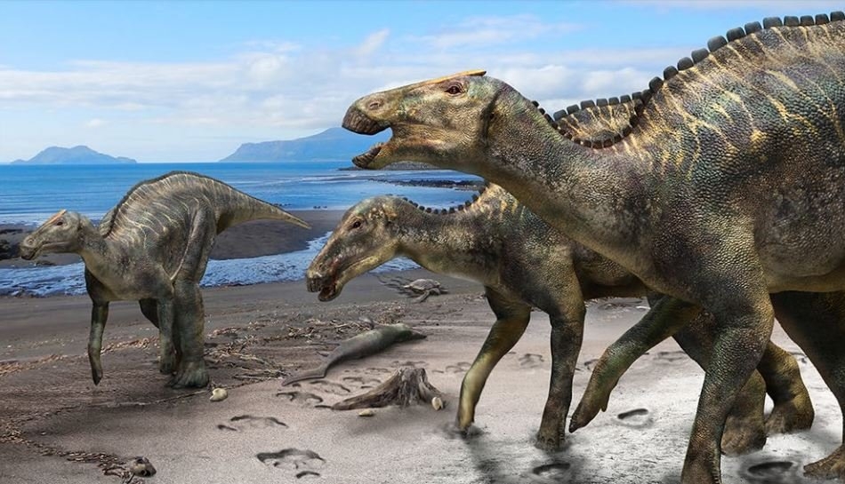 Ilmuwan Jepang menemukan spesies dinosaurus baru 2
