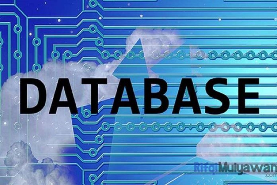 Kenali Kegunaan dan Fungsi Database dalam Sistem Informasi