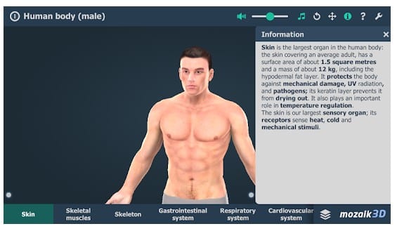 Människokropp (manlig) 3D VR-utbildning 1