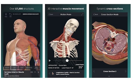Komplett Anatomy 19 för Android