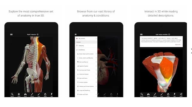 Manusia BioDigital - Anatomi 3D