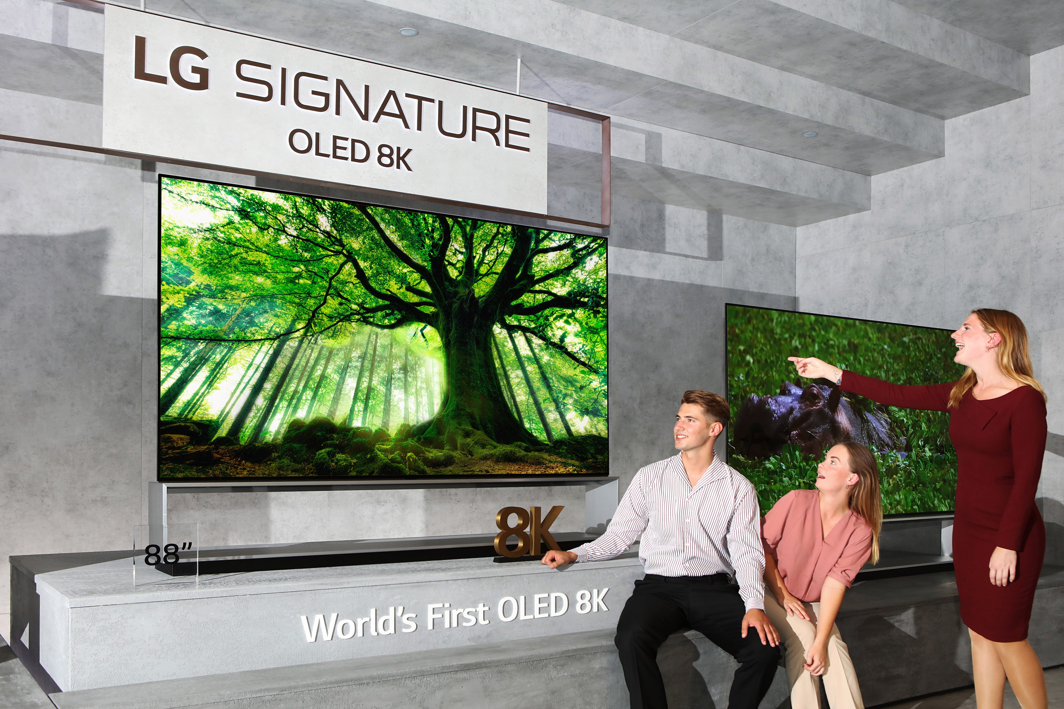 Последний телевизор lg. LG Signature 88 8k OLED. LG OLED 8k. LG Signature 88 8k OLED телевизор. LG Signature OLED 88 дюймов.