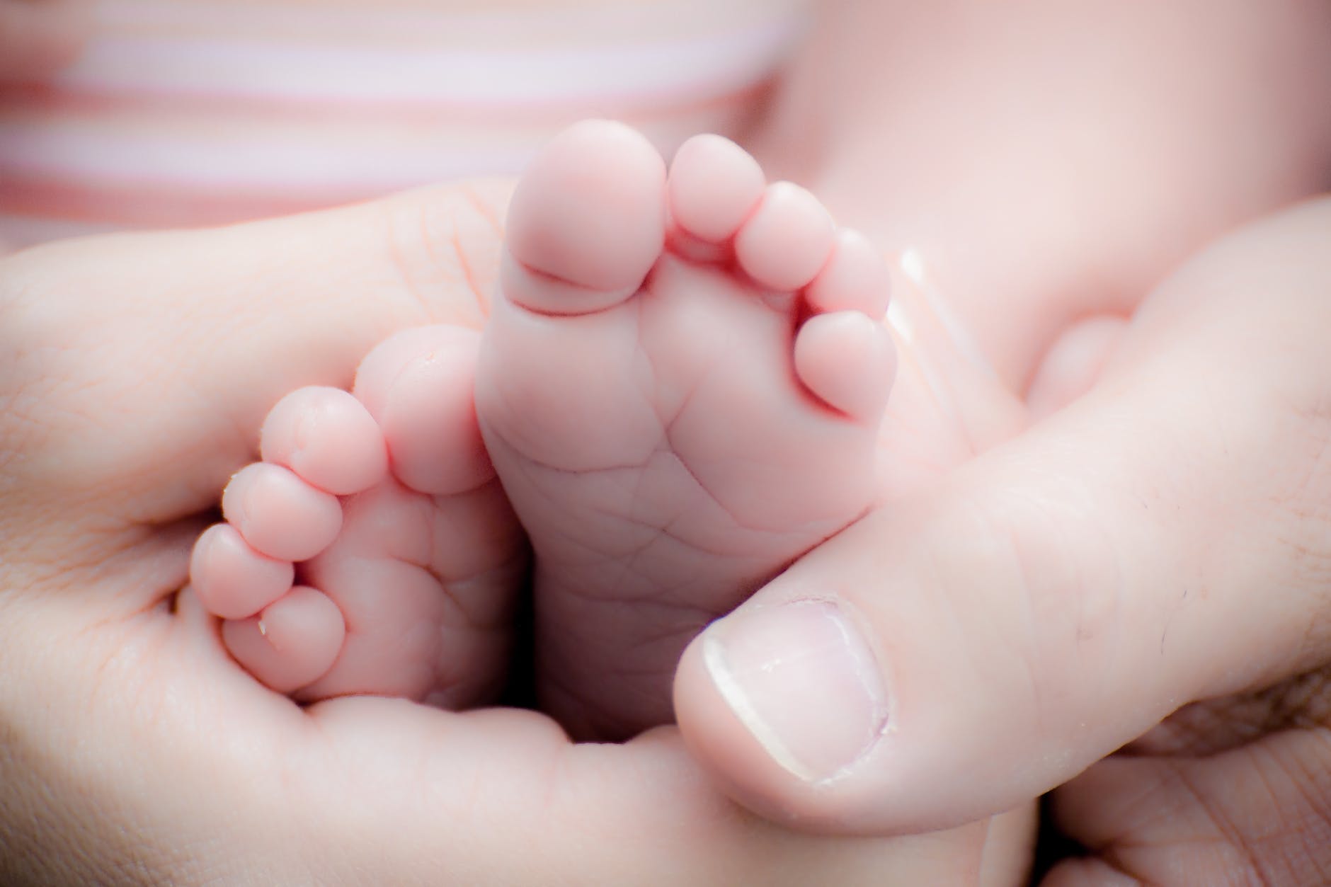 Bayi prematur meninggal setelah menghabiskan 10 jam di kamar mayat karena kesalahan