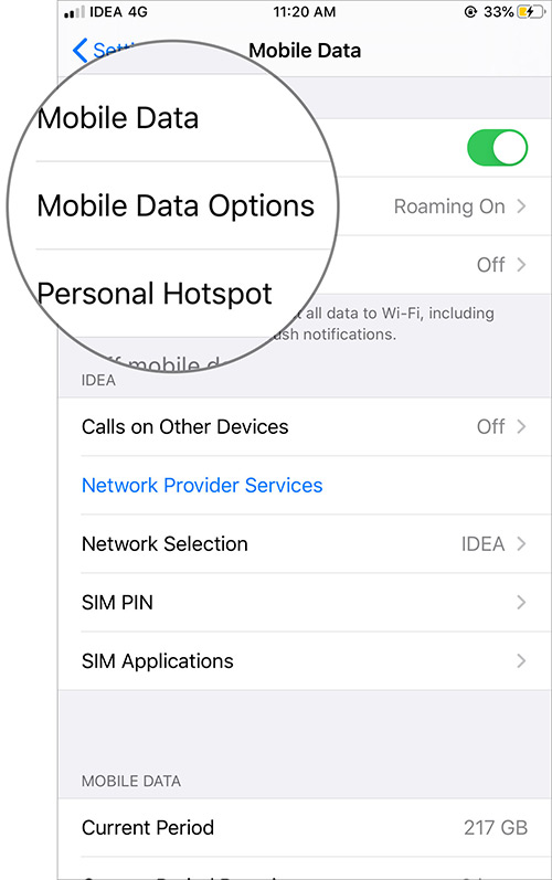 Tryck på Cellular Data Options på iOS 13 Inställningar för Cellular Data
