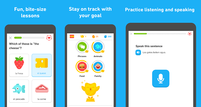 Antarmuka Pengguna Duolingo