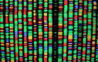 Pemetaan genetika harus merevolusi diagnosis penyakit langka