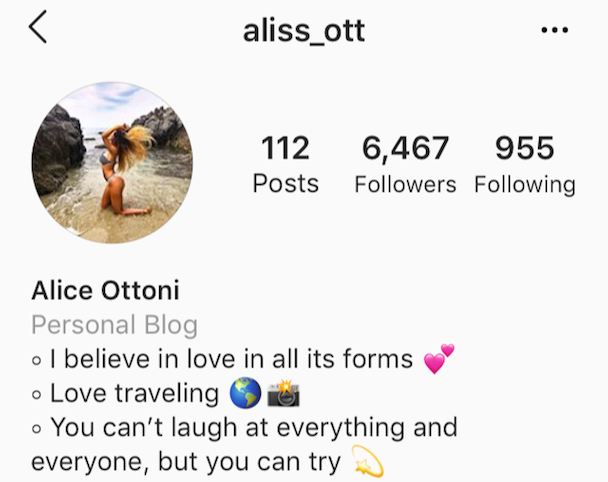 Instagram contoh bio: Sebuah bio IG dengan kutipan oleh @aliss_ott