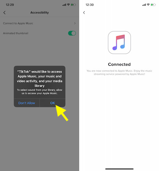 Izinkan TikTok untuk mengakses Apple Musik