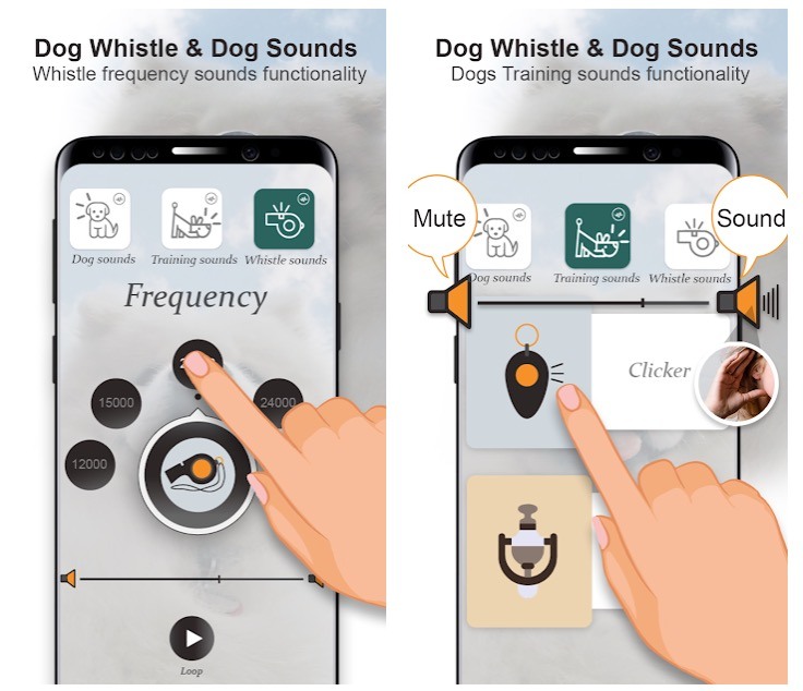Anti-Dog Whistle "width =" 499 "height =" 430 "srcset =" https://apsachieveonline.org/in/wp-content/uploads/2020/01/1580088313_134_10-aplikasi-peluit-anjing-terbaik-untuk-Android.jpg 736w, https: // androidappsforme .com / wp-content / unggah / 2019/11 / Anti-Dog-Whistle-300x258.jpg 300w, https://androidappsforme.com/wp-content/uploads/2019/11/Anti-Dog-Whistle-150x129. jpg 150w, https://androidappsforme.com/wp-content/uploads/2019/11/Anti-Dog-Whistle-80x69.jpg 80w, https://androidappsforme.com/wp-content/uploads/2019/11/ Anti-Dog-Whistle-220x190.jpg 220w, https://androidappsforme.com/wp-content/uploads/2019/11/Anti-Dog-Whistle-116x100.jpg 116w, https://androidappsforme.com/wp- content / uploads / 2019/11 / Anti-Dog-Whistle-174x150.jpg 174w, https://androidappsforme.com/wp-content/uploads/2019/11/Anti-Dog-Whistle-276x238.jpg 276w, https: //androidappsforme.com/wp-content/uploads/2019/11/Anti-Dog-Whistle-482x415.jpg 482w, https://androidappsforme.com/wp-content/uploads/2019/11/Anti-Dog-Whistle -565x487.jpg 565w, https://androidappsforme.com/wp-content/uploads/20 19/11 / Anti-Dog-Whistle-691x595.jpg 691w ​​"size =" (max-width: 499px) 100vw, 499px