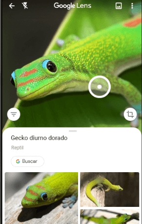 Bilder - Alla funktioner i Google Lens