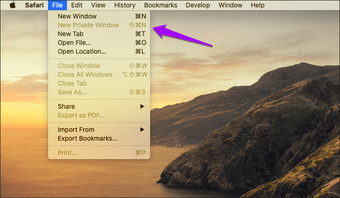 Inaktivera Safari Mac Private Browsing 5