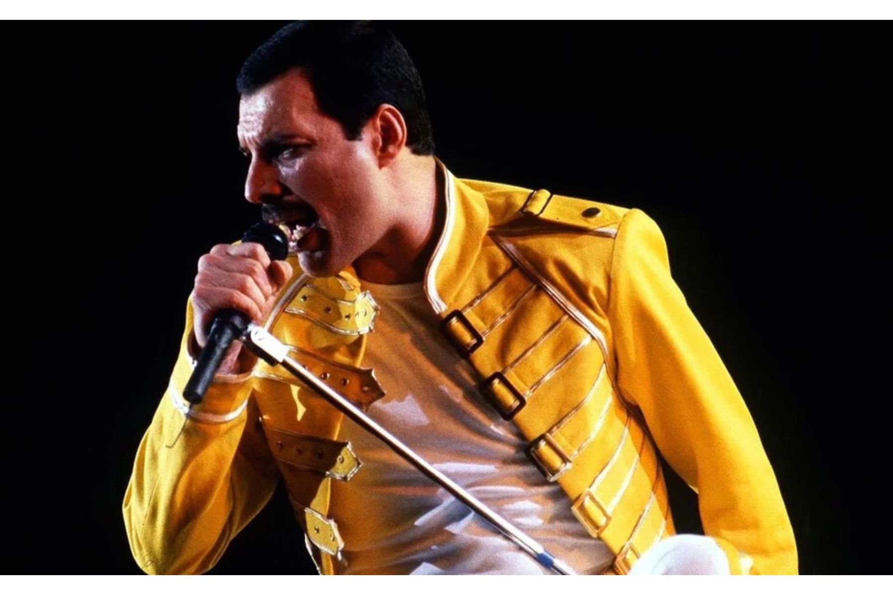Apakah Anda suka bernyanyi seperti Freddie Mercury? Cari tahu seberapa miripnya Anda dengannya