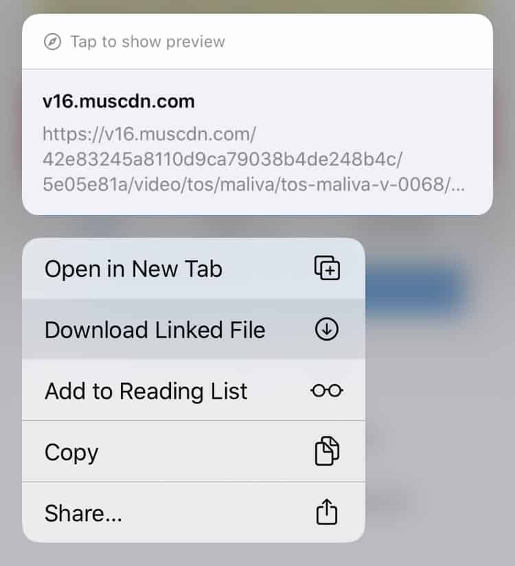 Download online videos using a web downloader (Mac, PC, Android, iPhone)