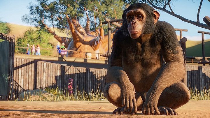 Gameplay Pertama Dari Planet Zoo - Surga Sejati Bagi Pecinta Hewan