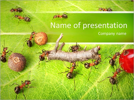 Apa template dan presentasi Google Slide terbaik untuk membuat slide seperti pro? Daftar 2020 1