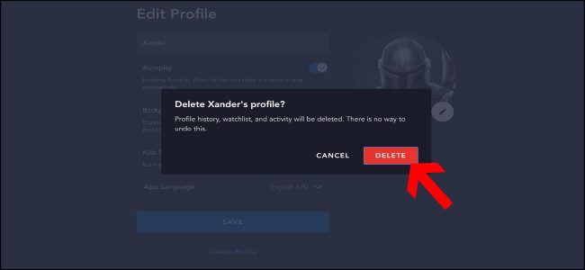 Disney + Confirm Profile Delete