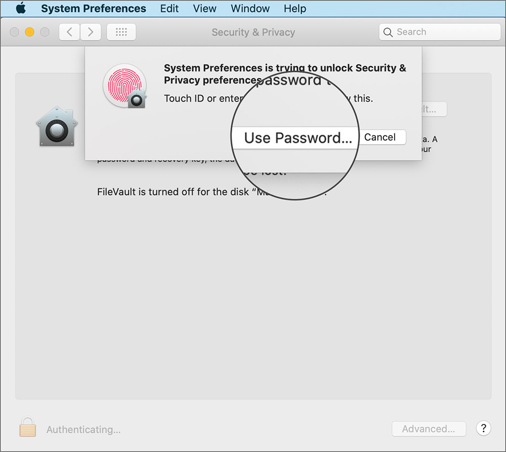Klicka på Använd lösenord i säkerhet och sekretess på macOS Catalina