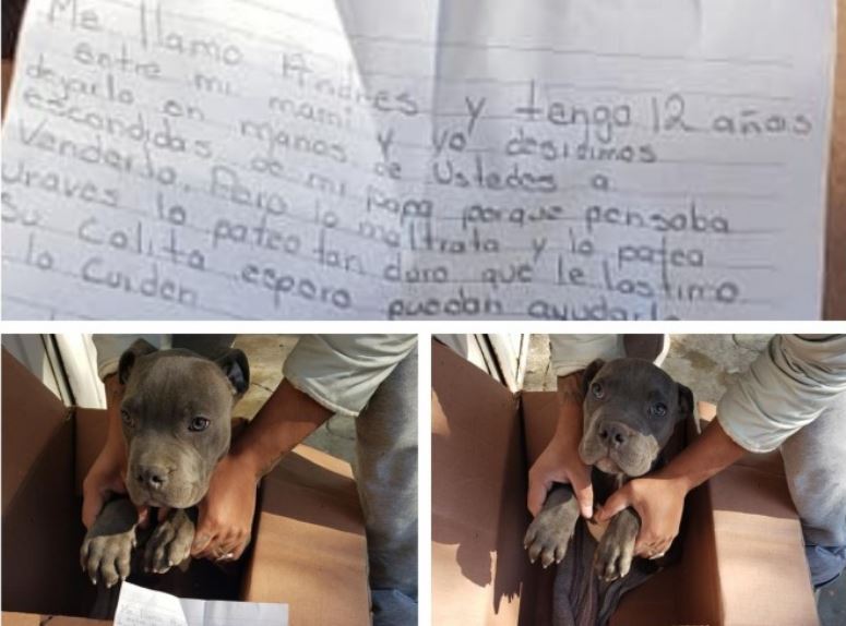 Anak jadi viral! Dia memberi hadiah kepada anak anjingnya untuk menyelamatkannya dari ayahnya