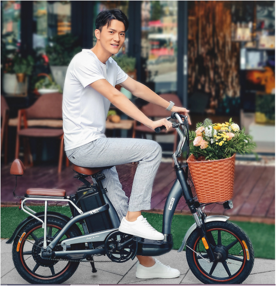 Himo C16 Electric MOPED Bicycle
